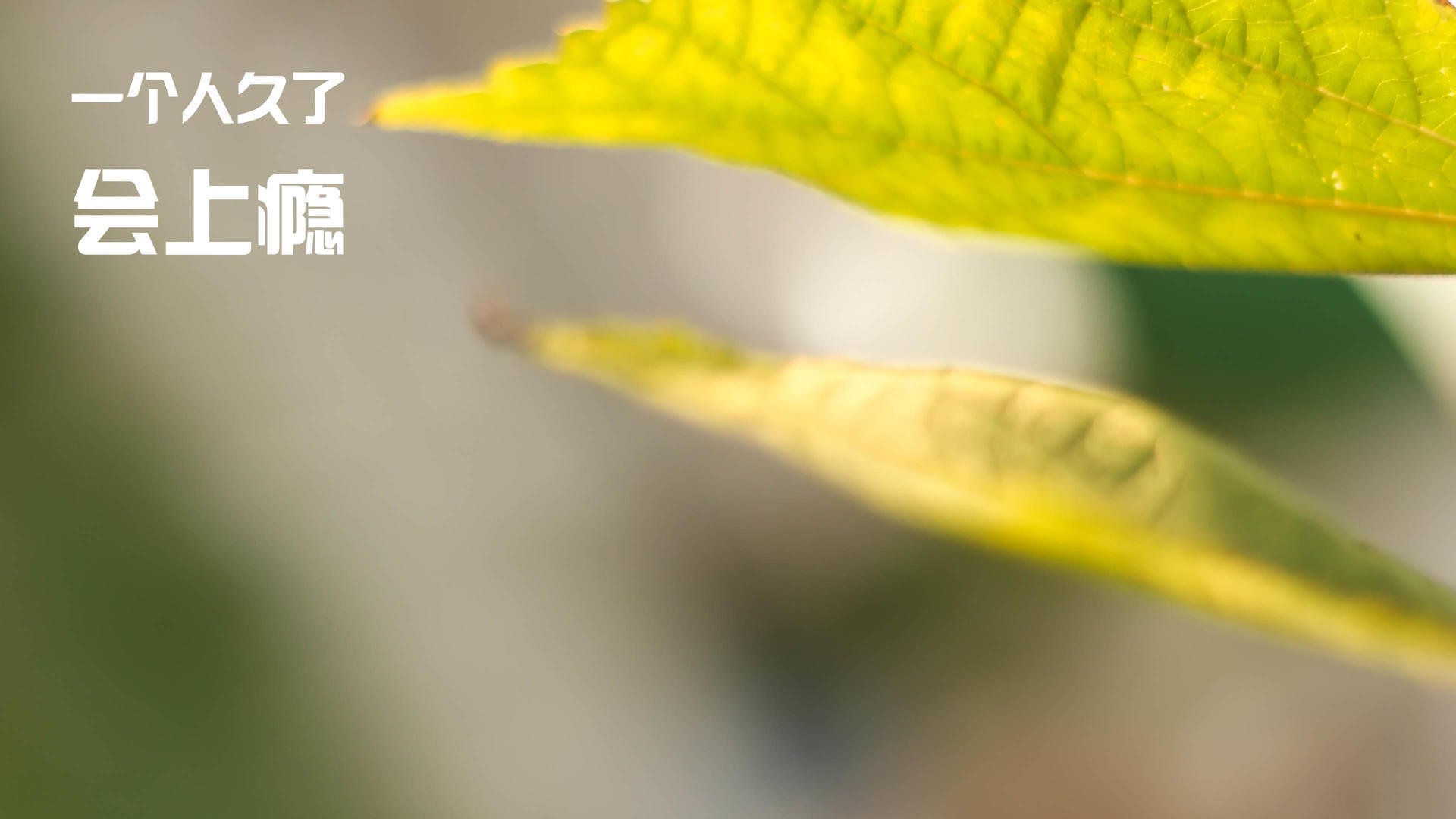 爱游戏电竞官网-_传统体育振兴计划：传承民族体育文化_，传承民族传统体育文化有哪些