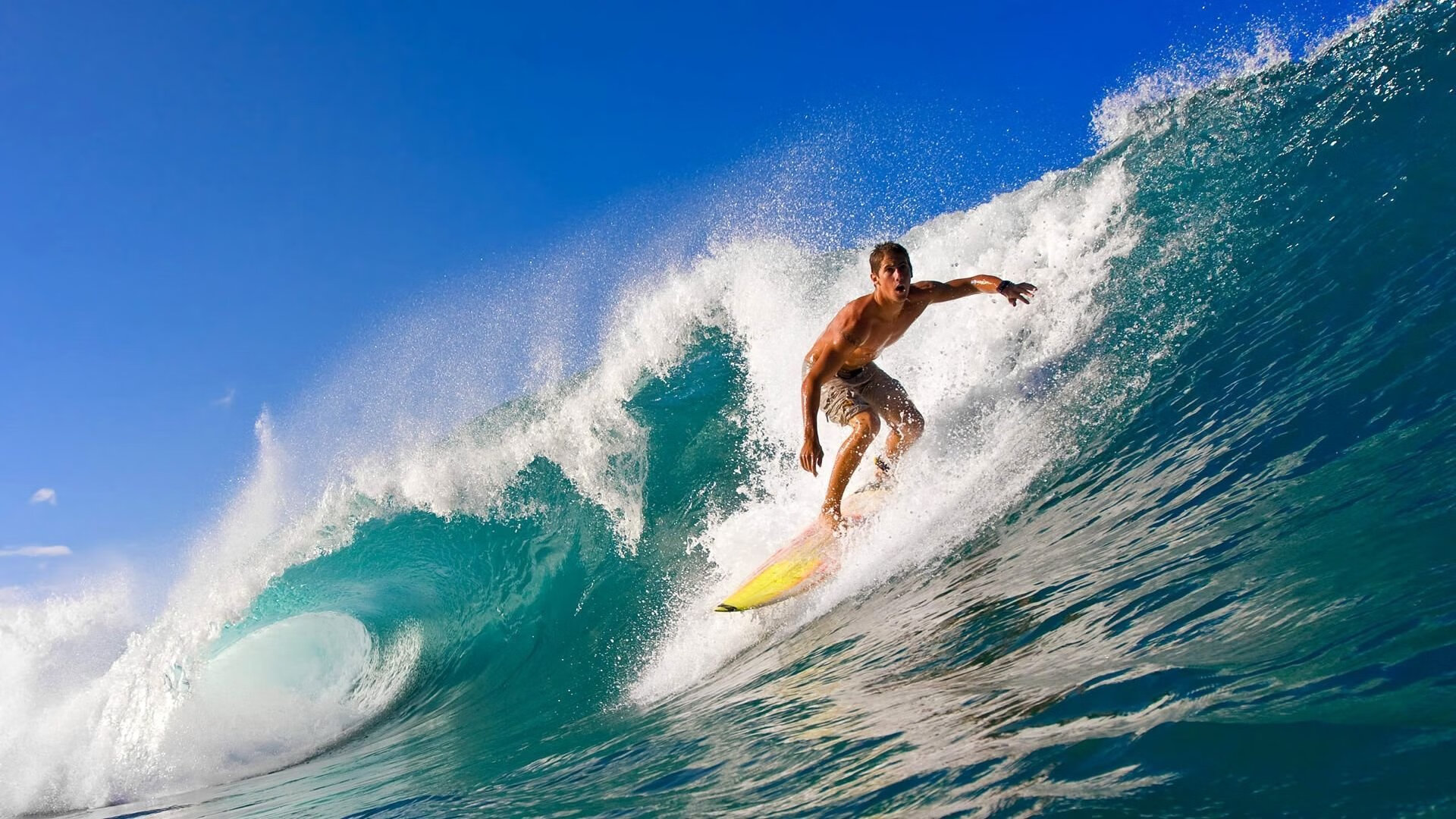 AYX GAMING-_传统体育新演绎：武术、跑步融合创新_，武术和体育运动的串词